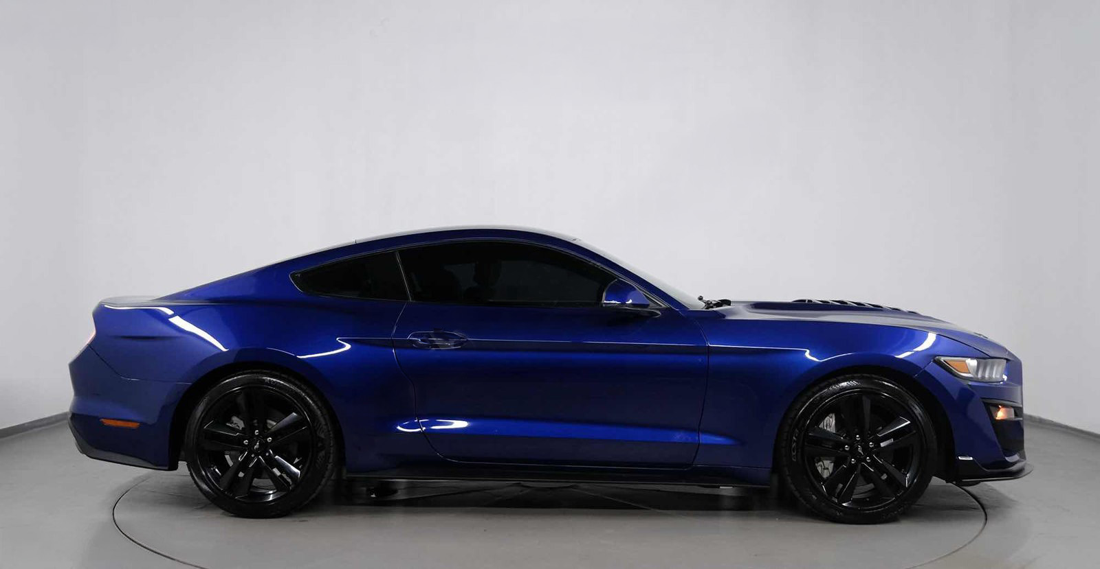Ford MUSTANG SHELBY
