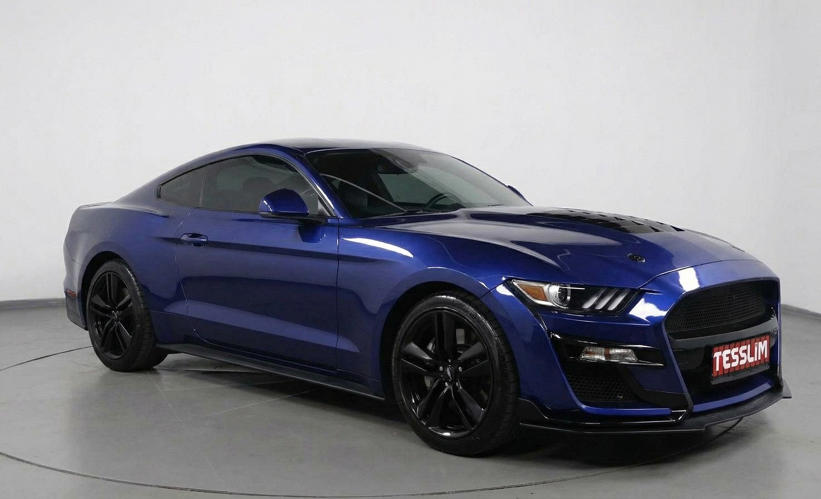 Ford MUSTANG SHELBY