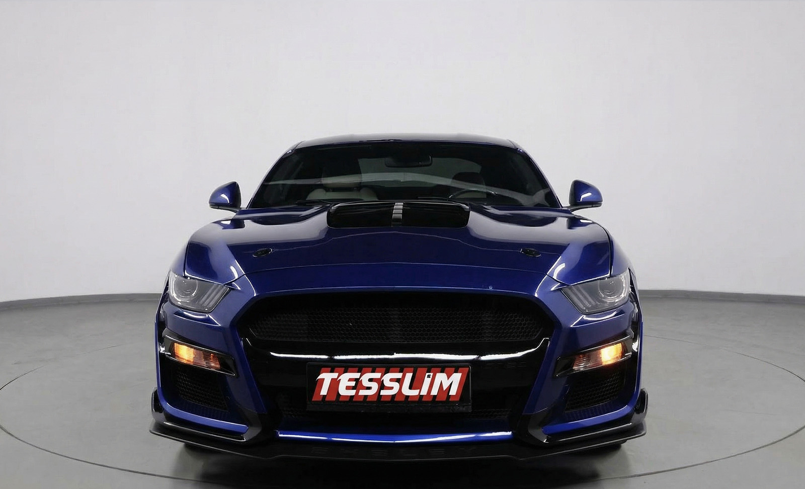 Ford MUSTANG SHELBY