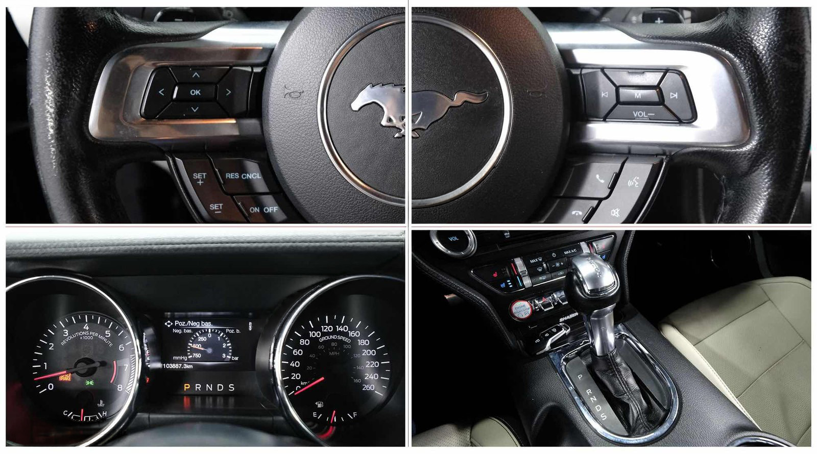 Ford MUSTANG SHELBY